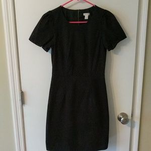 Womens J. Crew Factory Eyelet Dress